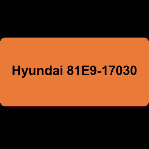 Hyundai 81E9-17030